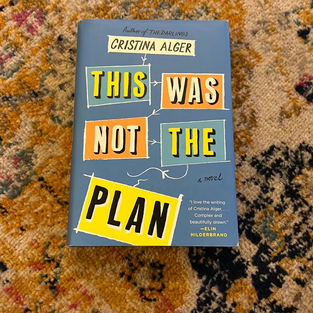 This was not the plan by Cristina Alger